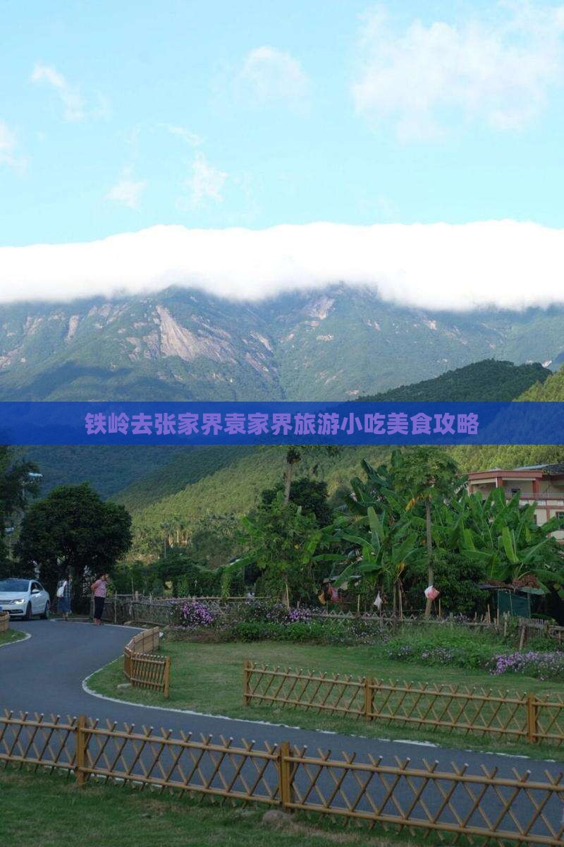 铁岭去张家界袁家界旅游小吃