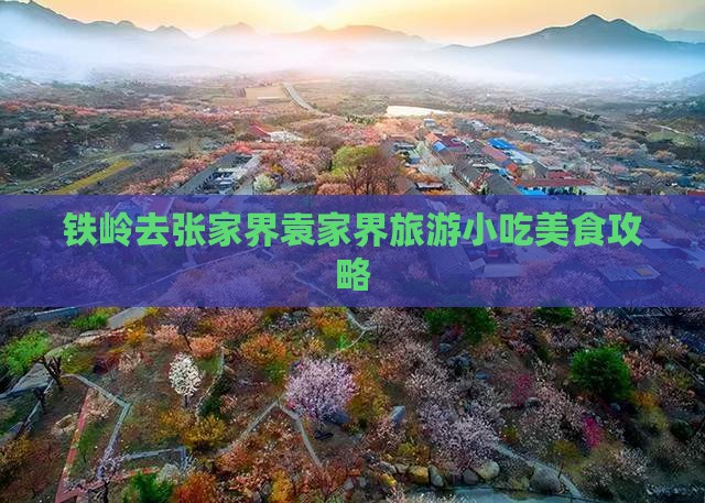 铁岭去张家界袁家界旅游小吃