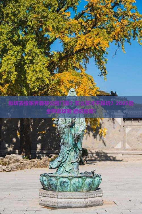 廊坊去张家界森林公园门票