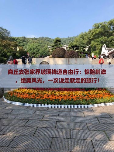 商丘去张家界玻璃栈道自由行