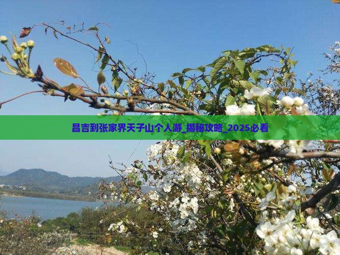 昌吉到张家界天子山个人游