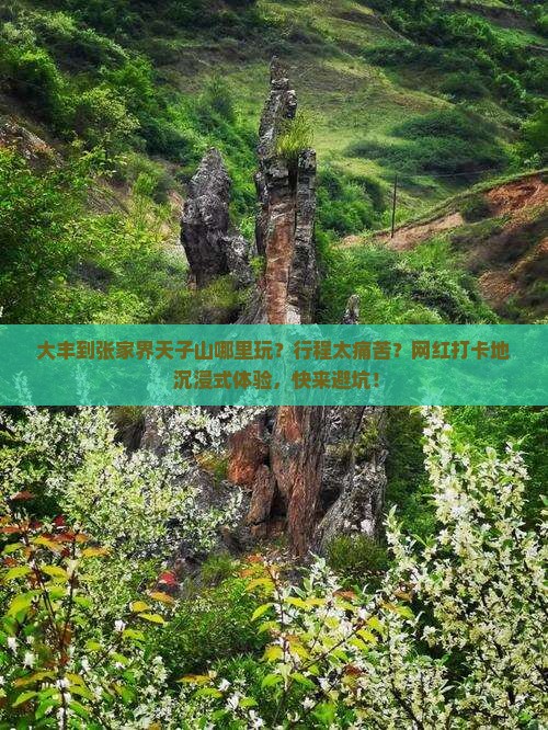 大丰到张家界天子山哪里玩