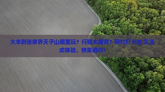 大丰到张家界天子山哪里玩