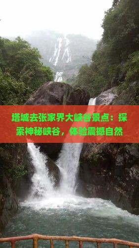 塔城去张家界大峡谷景点