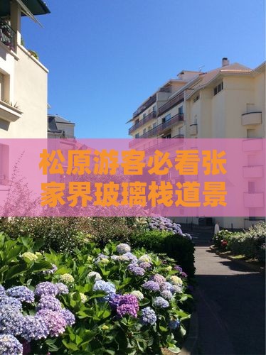松原去张家界玻璃栈道必去地