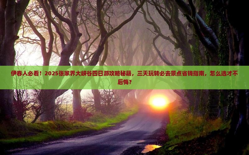 伊春去张家界大峡谷四日游