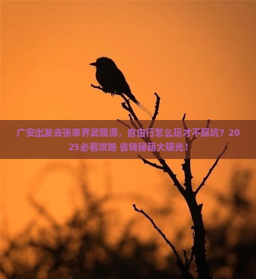 广安去张家界武陵源自由行