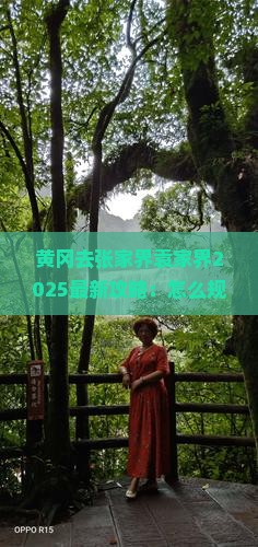 黄冈去张家界袁家界必去地 黄冈去张家界袁家界必去地