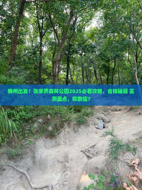 梅州到张家界森林公园大型旅游团