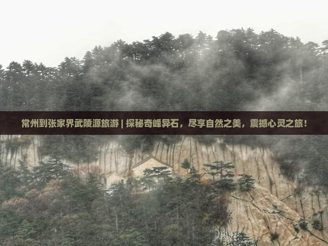 常州到张家界武陵源旅游