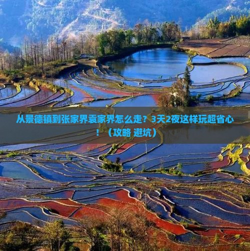 景德镇到张家界袁家界攻略