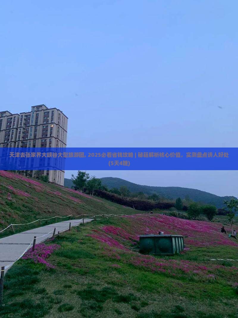 天津去张家界大峡谷大型旅游团