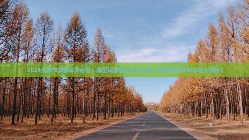 清明节到张家界哪里玩
