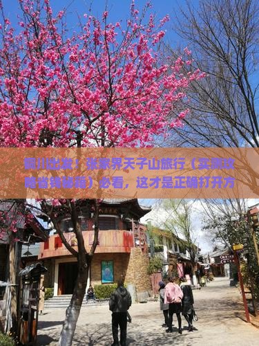 铜川到张家界天子山旅行社