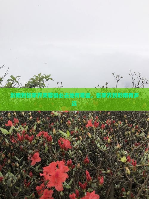 黔南到张家界芙蓉镇必去地