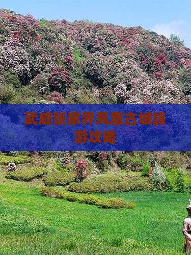 武威去张家界凤凰古城团体旅游