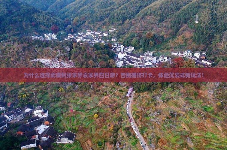武威到张家界袁家界四日游