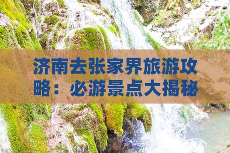 济南去张家界森林公园哪里玩