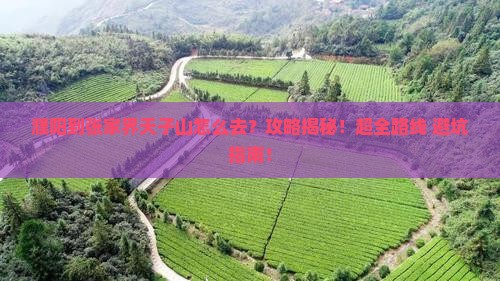 濮阳到张家界天子山攻略