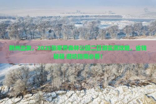 荆州去张家界森林公园二日游