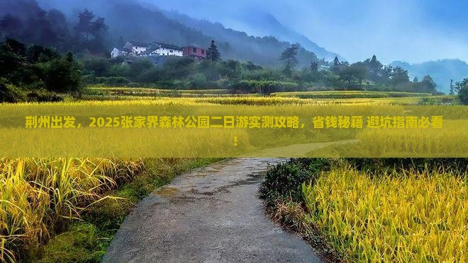 荆州去张家界森林公园二日游