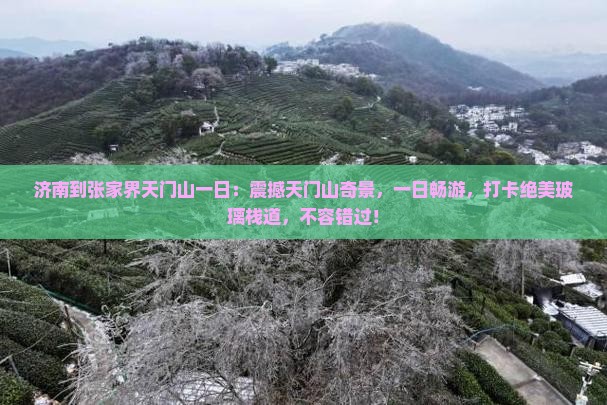 济南到张家界天门山一日