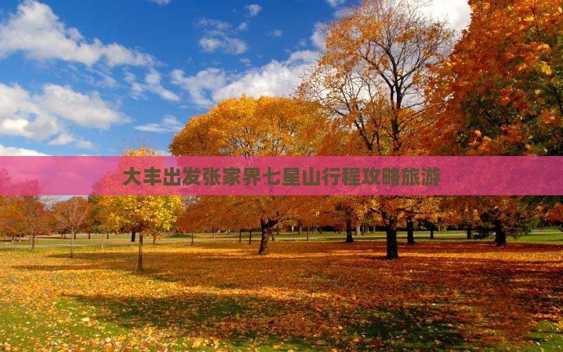 大丰到张家界七星山旅行社