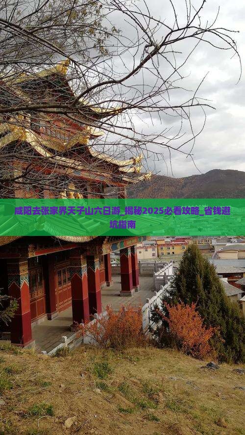 咸阳去张家界天子山六日游