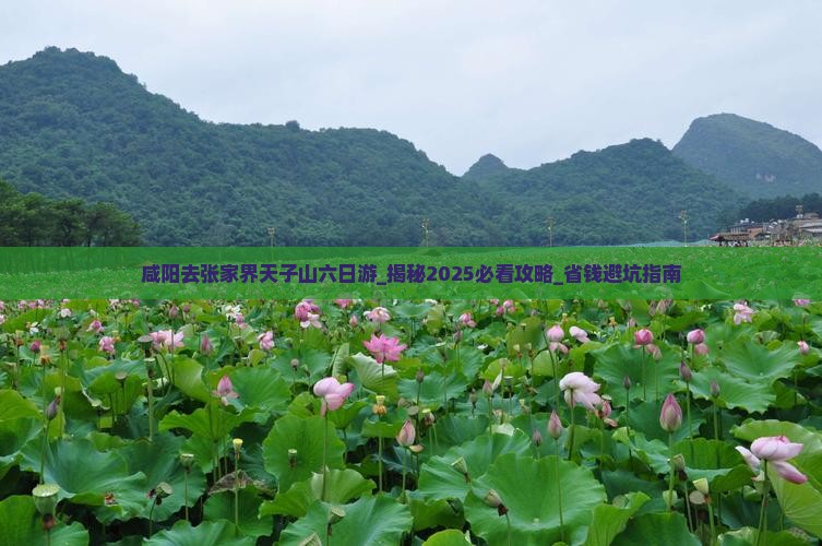 咸阳去张家界天子山六日游