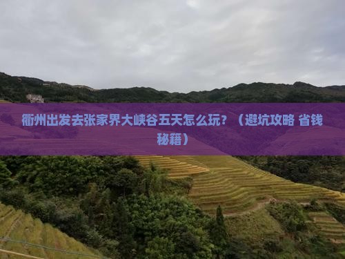 衢州去张家界大峡谷五日游