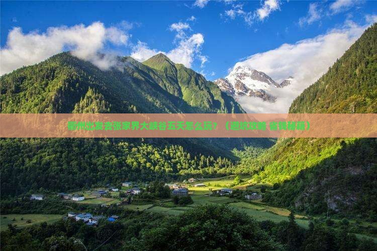 衢州去张家界大峡谷五日游