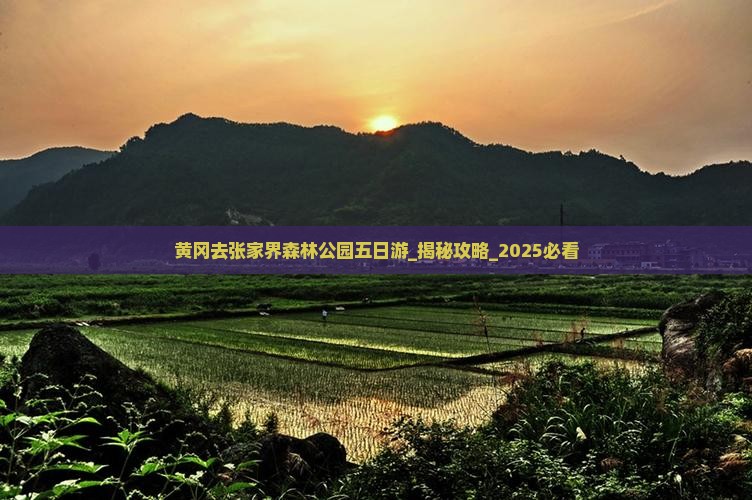 黄冈去张家界森林公园五日游