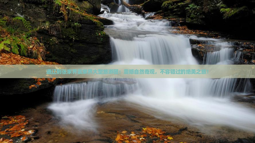 通辽到张家界袁家界大型旅游团