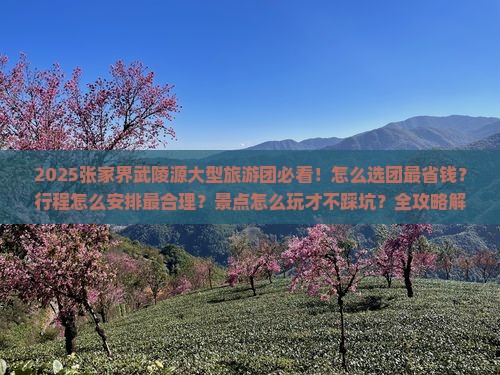 八月去张家界武陵源大型旅游团
