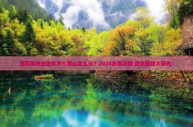 西双版纳去张家界七星山哪里玩