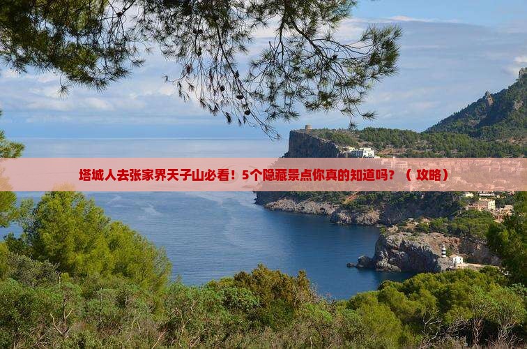 塔城去张家界天子山旅行社 塔城去张家界天子山旅行社