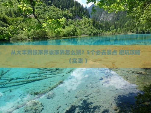 大丰去张家界袁家界哪里玩