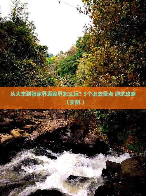 大丰去张家界袁家界哪里玩