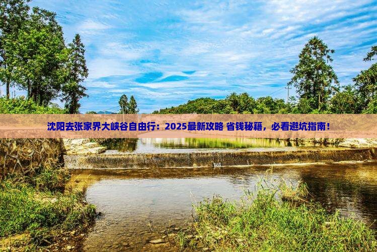 沈阳去张家界大峡谷自由行