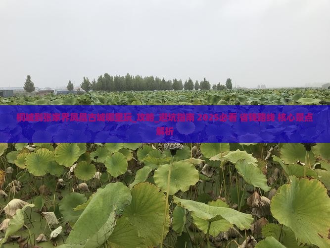 桐城到张家界凤凰古城哪里玩 桐城到张家界凤凰古城哪里玩