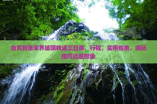 自贡到张家界玻璃栈道三日游