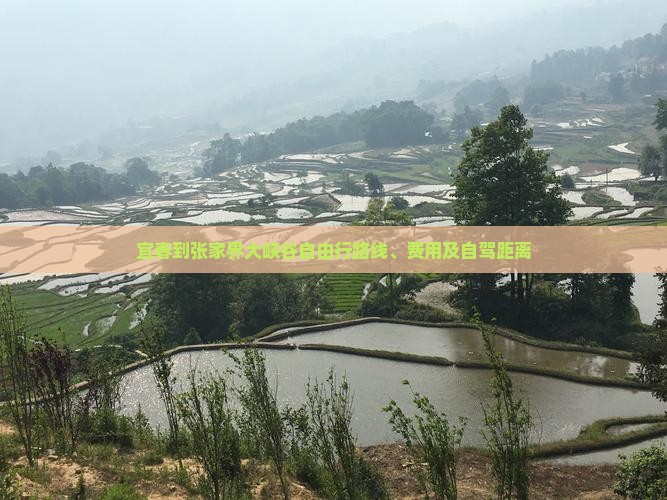 宜春到张家界大峡谷自由行