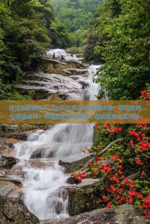 菏泽到张家界天门山五日游