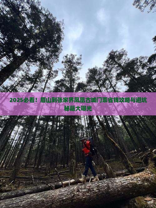眉山到张家界凤凰古城门票