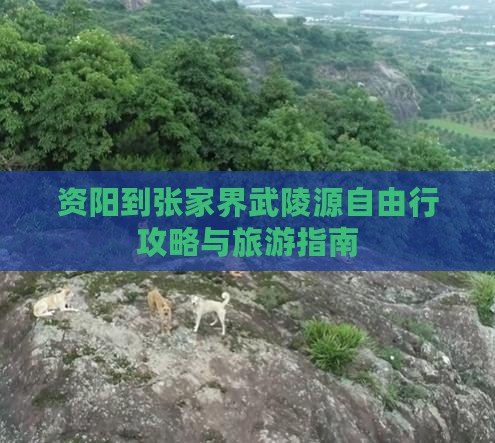 资阳到张家界武陵源自由行