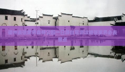 德州去张家界森林公园一日