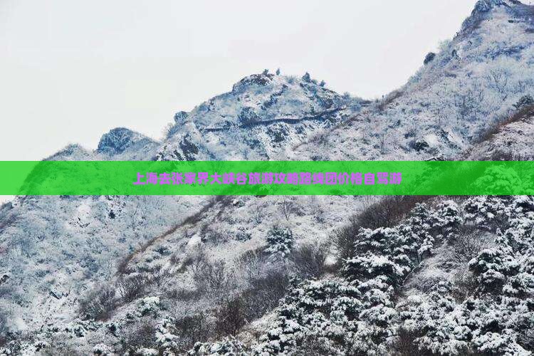 上海去张家界大峡谷旅游 上海去张家界大峡谷旅游
