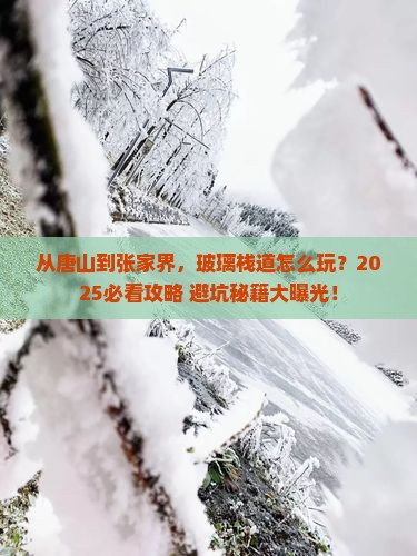 唐山到张家界玻璃栈道哪里玩