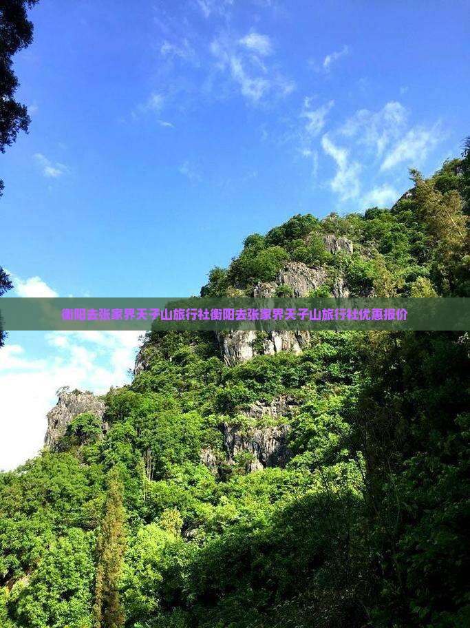 衡阳去张家界天子山旅行社