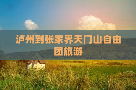 泸州到张家界天门山自由团
